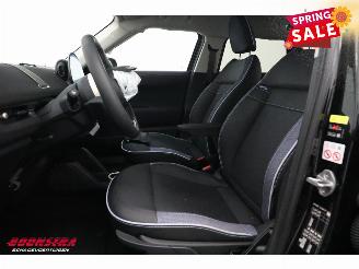 Mini Mini E Classic L 42.5 kWh Pano LED ACC H/K HUD 360° LRHZ picture 24