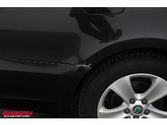 Skoda Superb Combi 1.6 TDI Greenline Ambition Memory Xenon Navi Cruise SHZ PDC picture 5