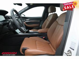 Audi Q8 55 quattro Advanced 115 kWh Pano LED ACC B&O HUD Memory 360° picture 20