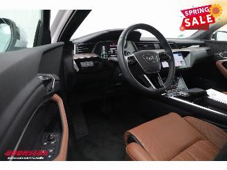 Audi Q8 55 quattro Advanced 115 kWh Pano LED ACC B&O HUD Memory 360° picture 22