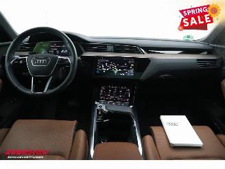 Audi Q8 55 quattro Advanced 115 kWh Pano LED ACC B&O HUD Memory 360° picture 18