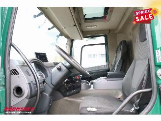 DAF CF 250 FA Aut. Kuhler Carrier Syberia Dhollandia Euro 6 picture 26