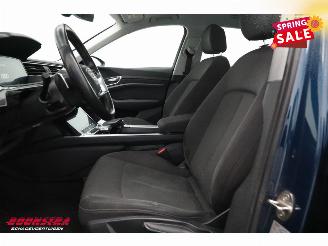 Audi E-tron 55 quattro advanced 95 kWh LED Virtual Cruise PDC picture 17