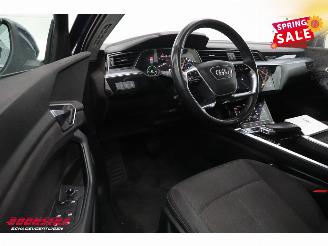Audi E-tron 55 quattro advanced 95 kWh LED Virtual Cruise PDC picture 19