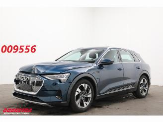 Auto incidentate Audi E-tron 55 quattro advanced 95 kWh LED Virtual Cruise PDC 2019/12