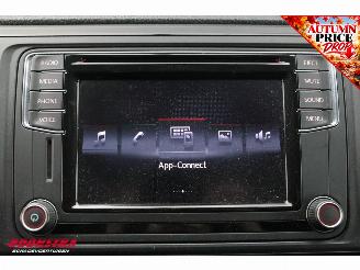 Volkswagen Transporter Bestattungswagen 2.0 TDI DSG 4M LED Cruise Camera AHK picture 28