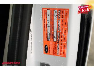 Renault Trafic 2.0 dCi 150 Aut. L2-H1 Work Ed. Carrier Citimax 280 LED Navi AIrco Cruise picture 12