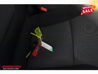 Renault Trafic 2.0 dCi 150 Aut. L2-H1 Work Ed. Carrier Citimax 280 LED Navi AIrco Cruise picture 24