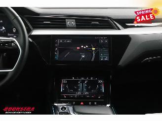 Audi E-tron 55 quattro Advanced 95 kWh MirrorCam LED ACC Leder Camera SHZ picture 15