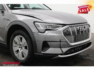 Audi E-tron 55 quattro Advanced 95 kWh MirrorCam LED ACC Leder Camera SHZ picture 5