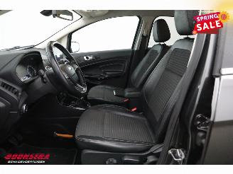 Ford EcoSport 1.0 EcoBoost Titanium Navi Clima Cruise Camera SHZ LRHZ PDC 117.062 km! picture 9