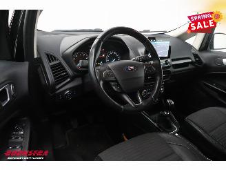 Ford EcoSport 1.0 EcoBoost Titanium Navi Clima Cruise Camera SHZ LRHZ PDC 117.062 km! picture 11