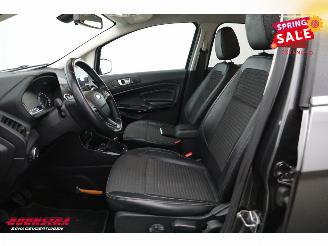 Ford EcoSport 1.0 EcoBoost Titanium Navi Clima Cruise Camera SHZ LRHZ PDC 117.062 km! picture 9