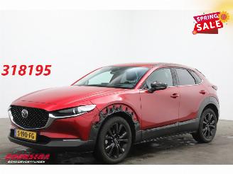 Damaged car Mazda CX-30 2.0 e-SkyActiv-X M Hybrid Homura Aut. Navi Clima Cruise Camera SHZ 2023/1