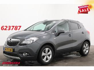 Auto incidentate Opel Mokka 1.6 CDTi Aut. Cosmo Leder Navi Clima Cruise Camera LRHZ SHZ AHK 2016/9