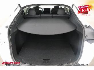 Tesla Model Y Premium Long Range RWD 75 kWh Fahrbereit Pano LED ACC LRHZ SHZ Camera picture 34