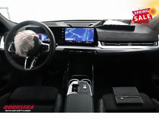 BMW iX2 xDrive30 67 kWh M Sport LED ACC H/K Memory 360° AHK LRHZ picture 13