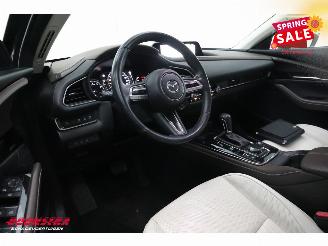 Mazda CX-30 2.0 e-SkyActiv-X M Hybrid Luxury Bose LED ACC HUD Memory Camera LRHZ picture 15