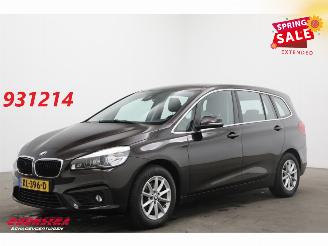 occasion passenger cars BMW 2-serie Gran Tourer 214d Centennial Executive Navi Clima Cruise PDC AHK 2016/10