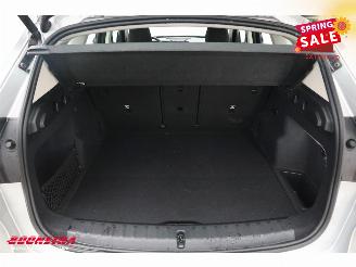 BMW iX1 xDrive30 67 kWh LED ACC Apple/Android Camera SHZ picture 35