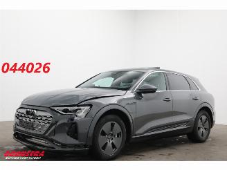 Auto incidentate Audi Q8 55 quattro Advanced 115 kWh Pano LED ACC HUD 360° Ventilatie LRHZ 2023/12