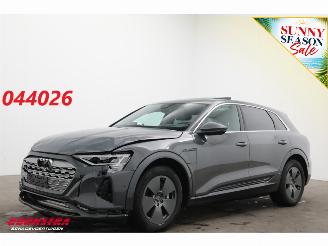 Voiture accidenté Audi Q8 55 quattro Advanced 115 kWh Pano LED ACC HUD 360° Ventilatie LRHZ 2023/12