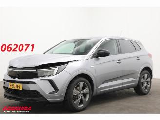 uszkodzony samochody osobowe Opel Grandland 1.2 Turbo Edition Apple/Android Virtual Cruise LRHZ SHZ AHK 2024/3