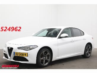 Voiture accidenté Alfa Romeo Giulia 2.2 Eco Business Super Leder BiXenon Navi Clima Cruise Camera 2017/1