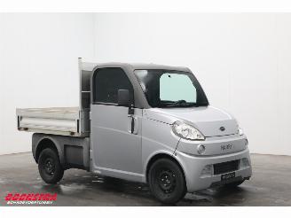 Ligier  Flex Pick-up picture 2