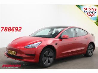 uszkodzony samochody osobowe Tesla Model 3 Standard RWD Plus 60 kWh Pano LED ACC Leder Camera 2023/5