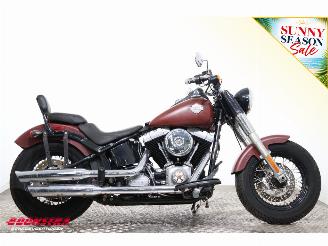 Harley-Davidson  FLS Softail Slim picture 7
