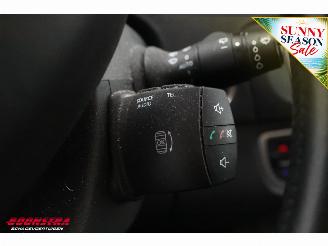 Renault Grand-scenic 1.2 TCe 7-Pers. Navi Clima Cruise PDC AHK picture 15