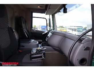 DAF CF 260 FA Kuhler Carrier Iceland TwinCool Dhollandia Euro 6 picture 13