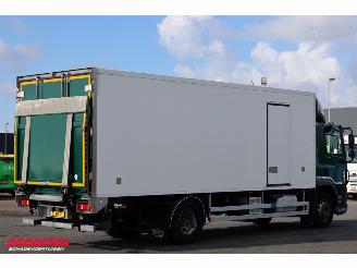 DAF CF 260 FA Kuhler Carrier Iceland TwinCool Dhollandia Euro 6 picture 3