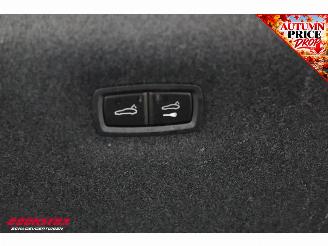 Audi E-tron ACC Pano Clima Memory B&O Navi Virtual HUD SHZ PDC picture 50