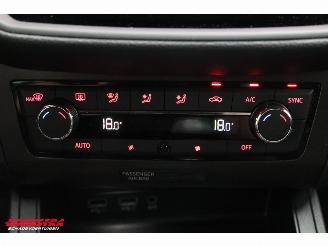 Seat Ibiza 1.0 TSI FR Business Intense Beats Cruise Clima Navi Apple/Android PDC picture 34