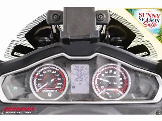 Quadro  Qv3 BY 2022 picture 9