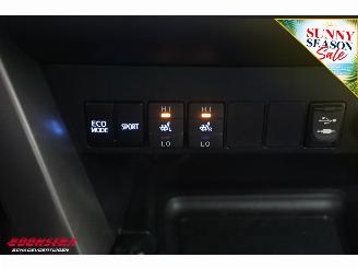 Toyota Rav-4 2.0 AUT Executive Business 4WD Cruise Clima Navi Leder SHZ Camera PDC picture 25