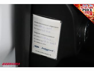 Ford Fiesta 1.0 EcoBoost ST-Line B&O Apple/Android Cruise picture 19
