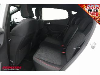 Ford Fiesta 1.0 EcoBoost ST-Line B&O Apple/Android Cruise picture 10