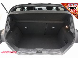 Ford Fiesta 1.0 EcoBoost ST-Line B&O Apple/Android Cruise picture 20