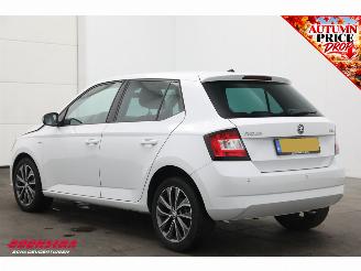 Skoda Fabia 1.0 TSI Drive Navi Clima Cruise PDC 80.188 km! picture 4