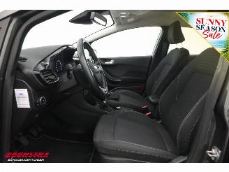 Ford Fiesta 1.0 EcoBoost Titanium Apple/Android ACC Navi Clima Camera PDC picture 16