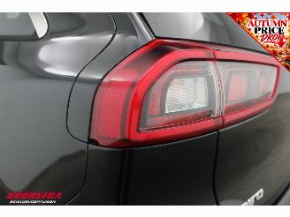Kia Niro 1.6 GDi Hybrid BusinessLine ACC Leder Apple/Android Camera LRHZ SHZ AHK picture 9