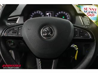 Skoda Fabia Combi 1.4 TDI DSG Ambition Business Navi Cruise Airco Bluetooth PDC picture 19