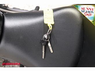 Kawasaki Ninja 650 ABS Arrow picture 19