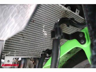 Kawasaki  Ninja ZX-4RR ABS Akrapovic 2.984 km! picture 24