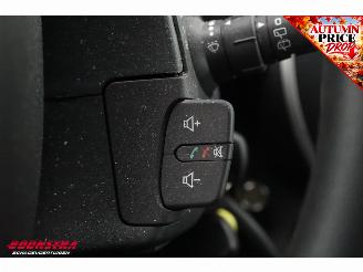 Renault Kangoo 1.5 Blue dCi 80 Comfort AHK Cruise Navi Airco Bluetooth picture 18