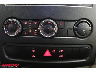 Volkswagen Crafter 2.0 TDI Tribus L2H2 9-Pers. Behindertengerecht Cruise Airco picture 24