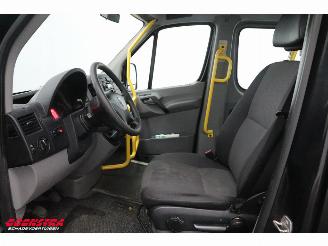 Volkswagen Crafter 2.0 TDI Tribus L2H2 9-Pers. Behindertengerecht Cruise Airco picture 17